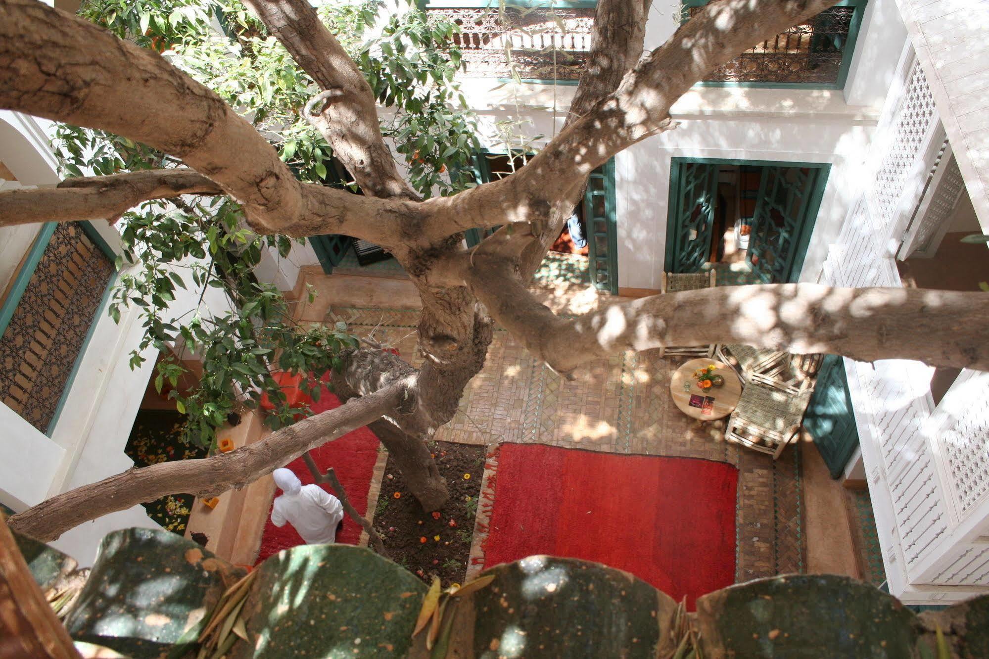 Riad Dar Zitouna En Exclusivite Marrakesh Exterior photo